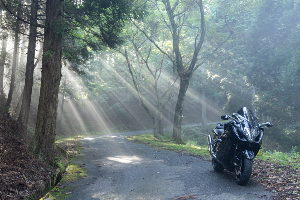 とっさん (@quadrifoglio14r) / Posts / X