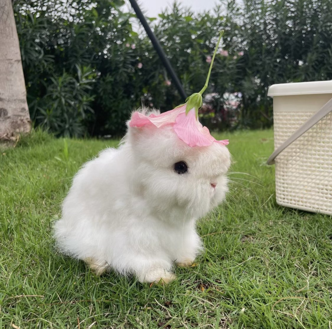 bunny with flower hat