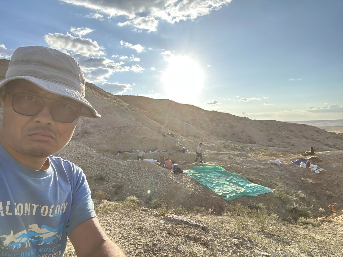 Dino_Chinzorig's tweet photo. #MADEX23 #NatGeo #ZZTE23 #IPMAS
DAY-6: The Early Cretaceous giant ankylosaur “HAHA” quarry dig in southeastern Gobi in Mongolia. Trenching round pelvic, but constantly hit another bones. @ExpeditionLive @freewillie643 @gravelmonkey_76 @palaeontolojosh https://t.co/PF0xnjrXpN