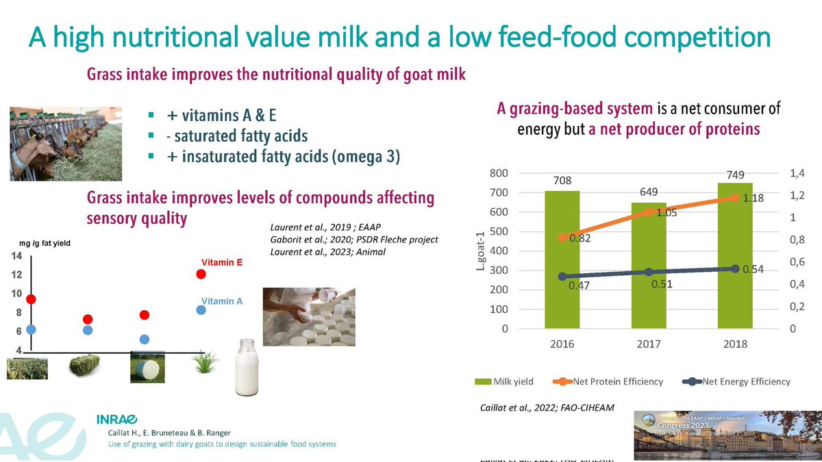 AnimalTaskFrc's tweet photo. 🔴 Use of grazing with dairy goats 🐐 to design sustainable food systems.
By @HCaillat @INRAE_Poitiers
➡️ Discover #Patuchev, a system experimentation
#EAAP2023Session02 @EAAPofficial @eaap2023Lyon 
@JeremieJost #fragtw #ceuxquifontlelait https://t.co/ILVVVzoYei