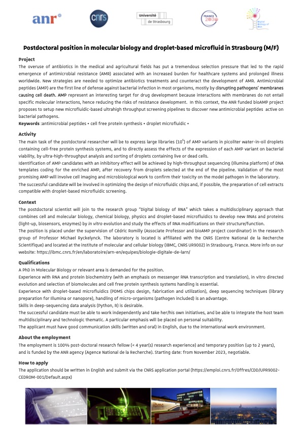 Cedric_Romilly tweet media