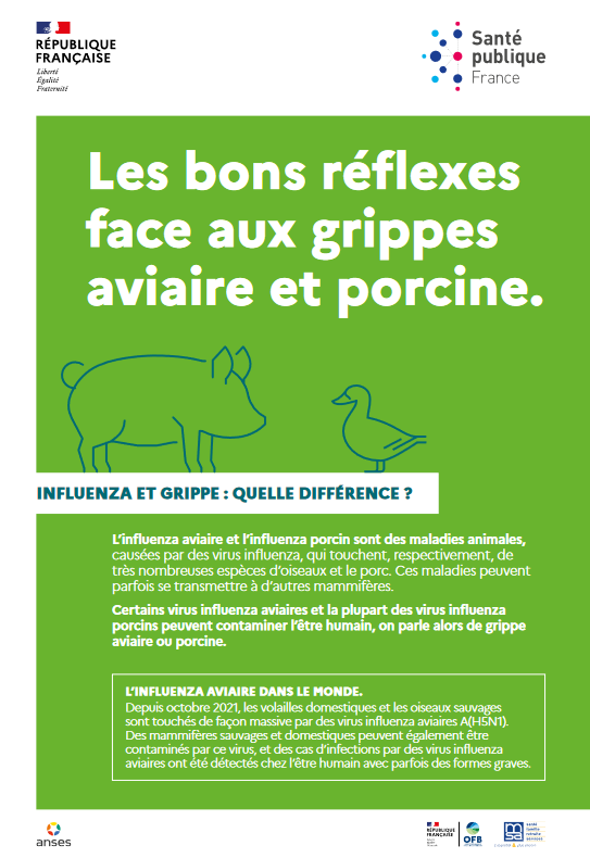 Prefet07's tweet image. #Recommandation 

ℹ️ Retrouvez les bons réflexes face aux grippes aviaire et porcine :
ardeche.gouv.fr/Actualites/Act…