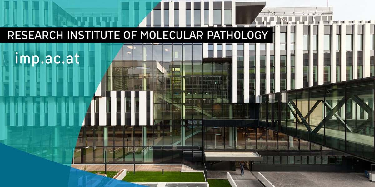 🚨 Group leader recruitment! 🚨
A few more days to apply! We're #hiring a group leader who addresses fundamental questions in molecular biology using computational methods and #AI. (1/2)
imp.ac.at/career/open-po…