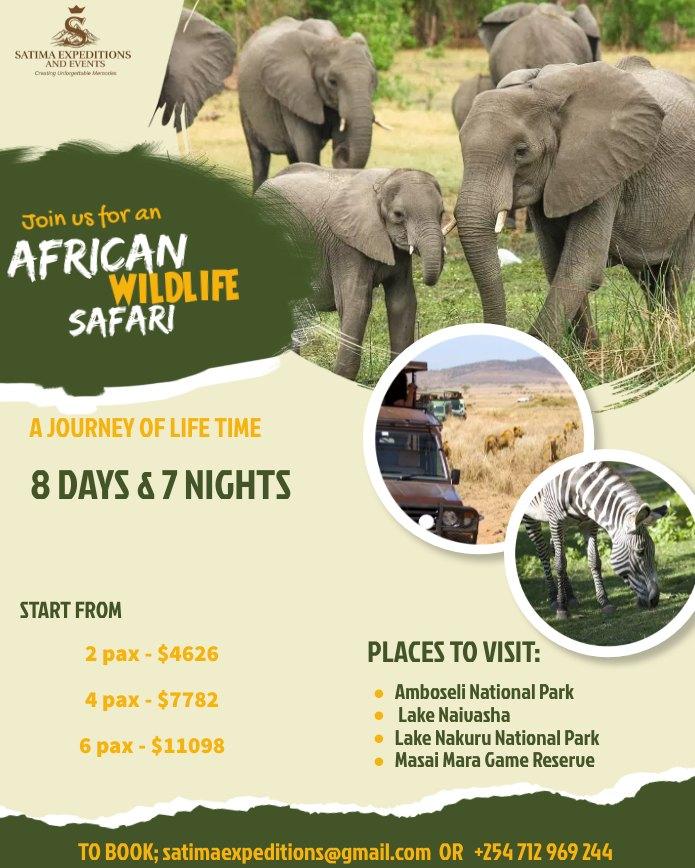 It's Safari time!!!

Get lost in the untamed beauty of Africa. Experiencing breathtaking moments and encountering wildlife wonders on this unforgettable safari adventure.

#SatimaExpeditions #CreateUnforgettableMemories #tembeakenya #kenyansafari #magicalkenya #Wildlifeadventure