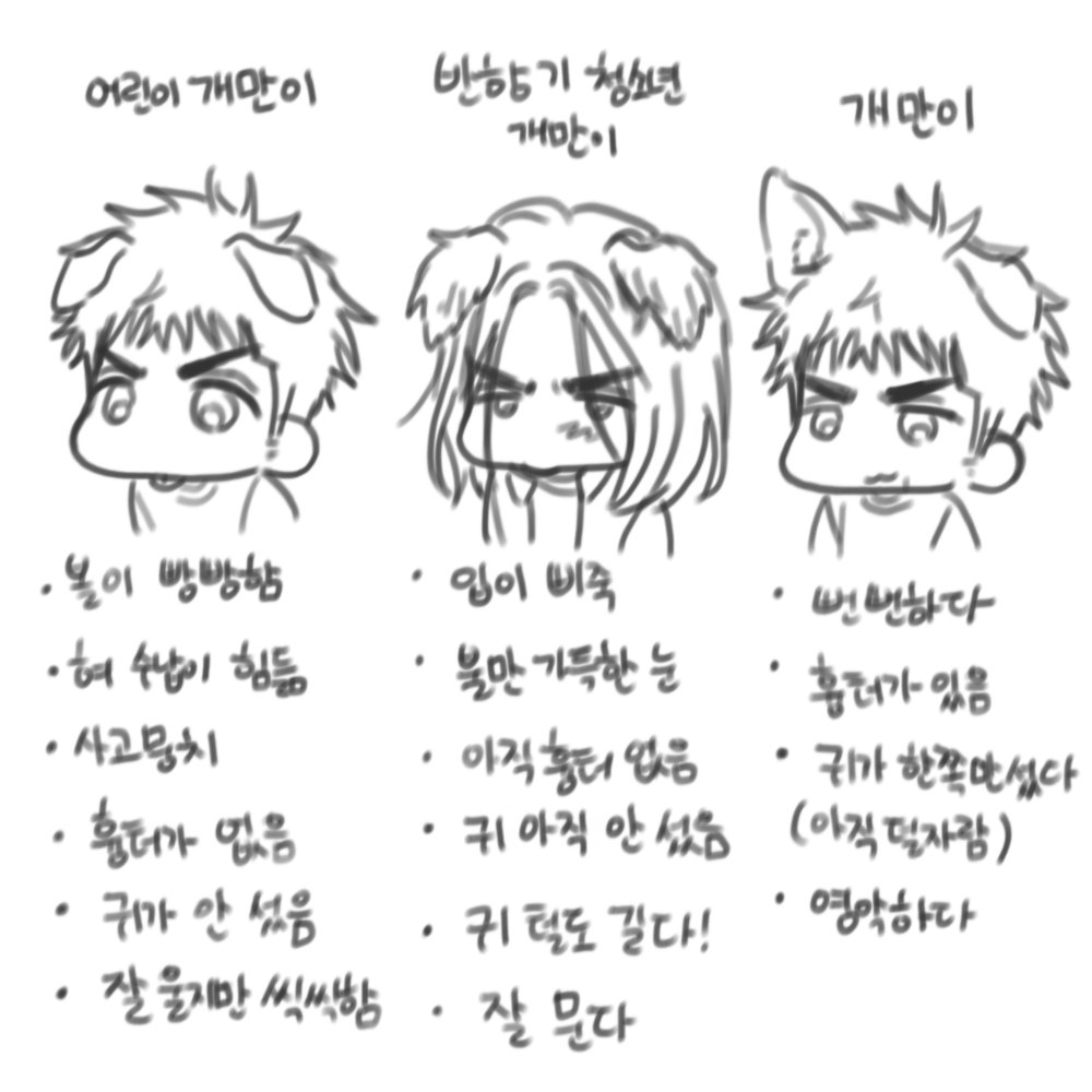 우리집 개만이들을 소개합니다