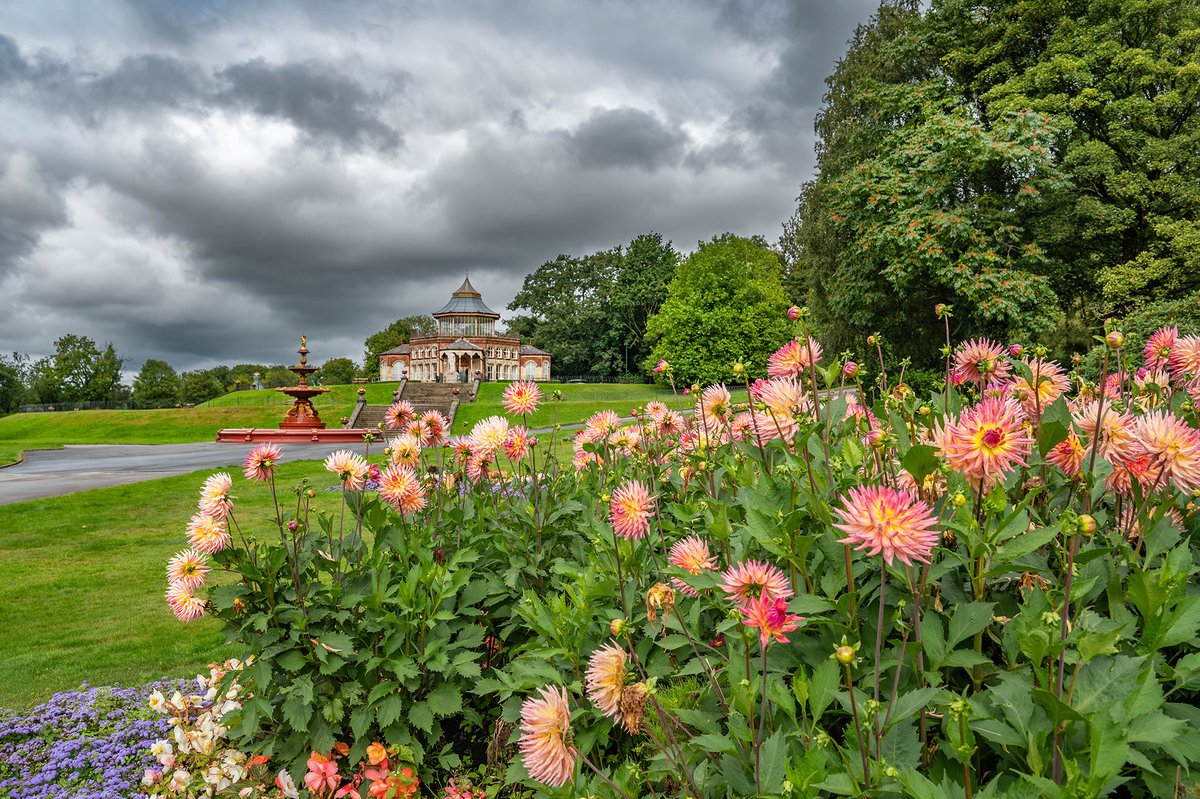 John Barton tweet media