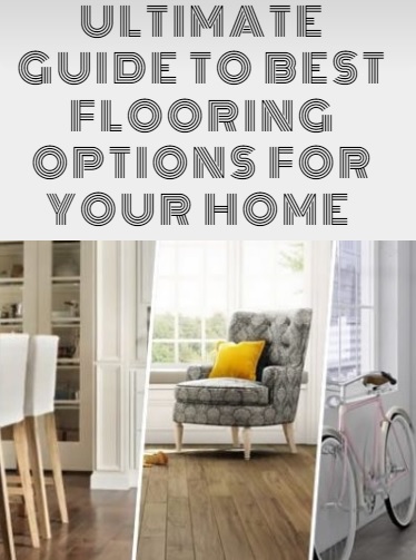 lanewaymagazine.com.au/.../ultimate-g…

#webstories #flooring #homeflooring #homeimprovement