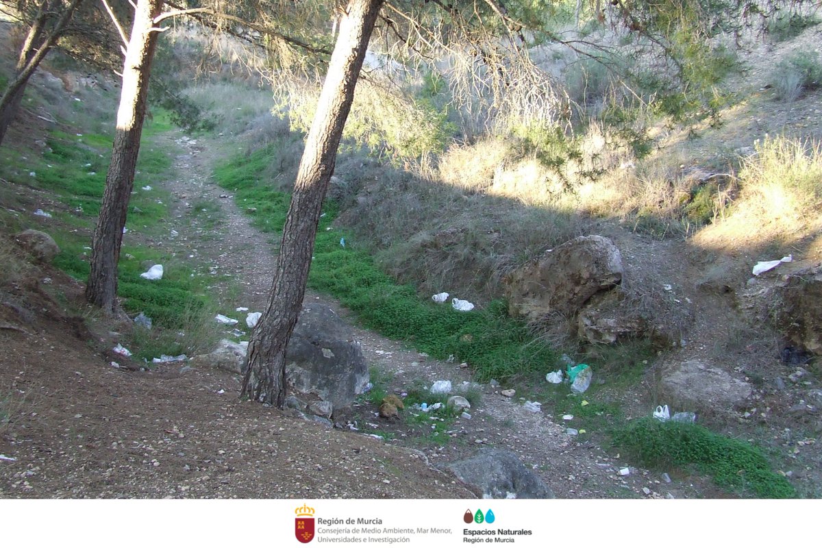 ElVallePR's tweet image. Las ramblas son “puntos negros” de concentración de residuos. El agua arrastra todo lo que se tira o se vuela hasta ellas, terminando en el mar. 
El 80% de toda la #Basuraleza que llega al mar procede de tierra ¡Tu sabes dónde empieza!
#StopBasuras #ProyectoLIBERA