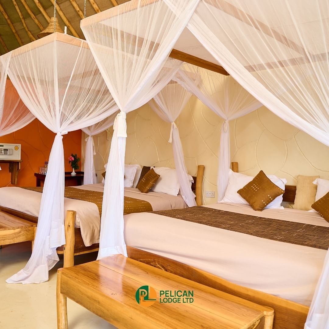 Tourmykenya's tweet photo. SEASON OFFER!! 
Book your Staycation at Pelican Lodge for only 4,500 KSH per person Sharing on half board basis! 
You will enjoy:
Luxury accommodation 
Half board meals 
Swimming 
Access to the beautiful Lake Elementaita

To book contact : 0728260979 https://t.co/Mew2mlS1Iq
