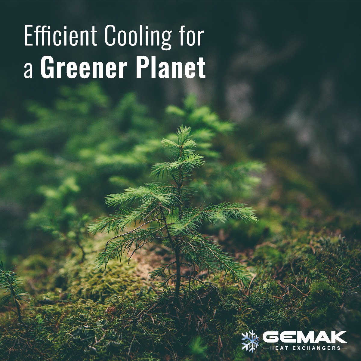 Our innovative cooling solutions not only ensure optimal performance but also prioritize sustainability, contributing to a greener and more eco-friendly tomorrow. Together, let's embrace efficient cooling to preserve our planet's precious resources. 🌿🏭

#EfficientCooling