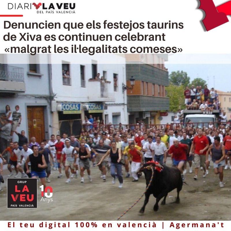 diarilaveucat's tweet photo. #FestejosTaurins ⚖️🐂: Denúncia per la Continuació de les Celebracions Taurines a Xiva Malgrat les Suposades Il·legalitats. Un Debat que Continua 🔍📰 #DretsAnimals #DebatSocial https://t.co/dBOy3WBwhf