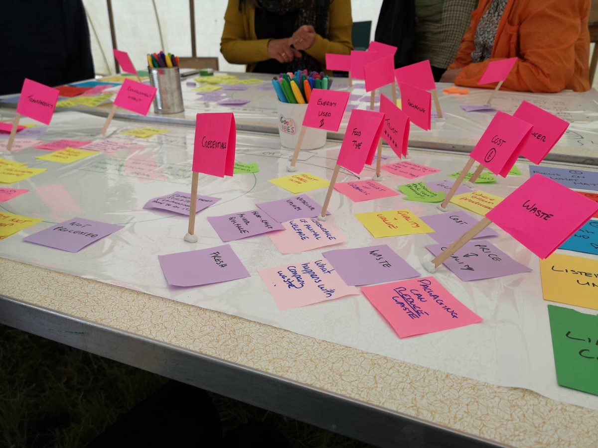 Stephanie Crowe tweet media