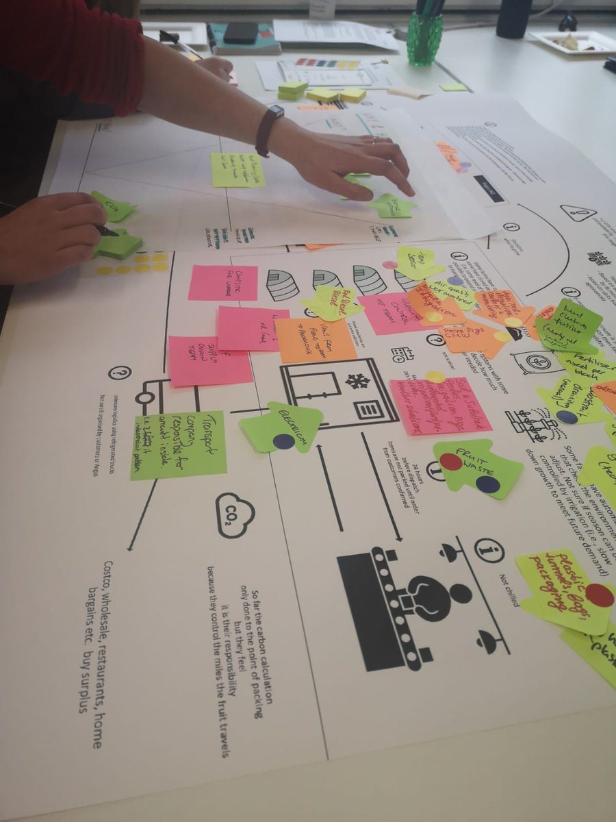 Stephanie Crowe tweet media