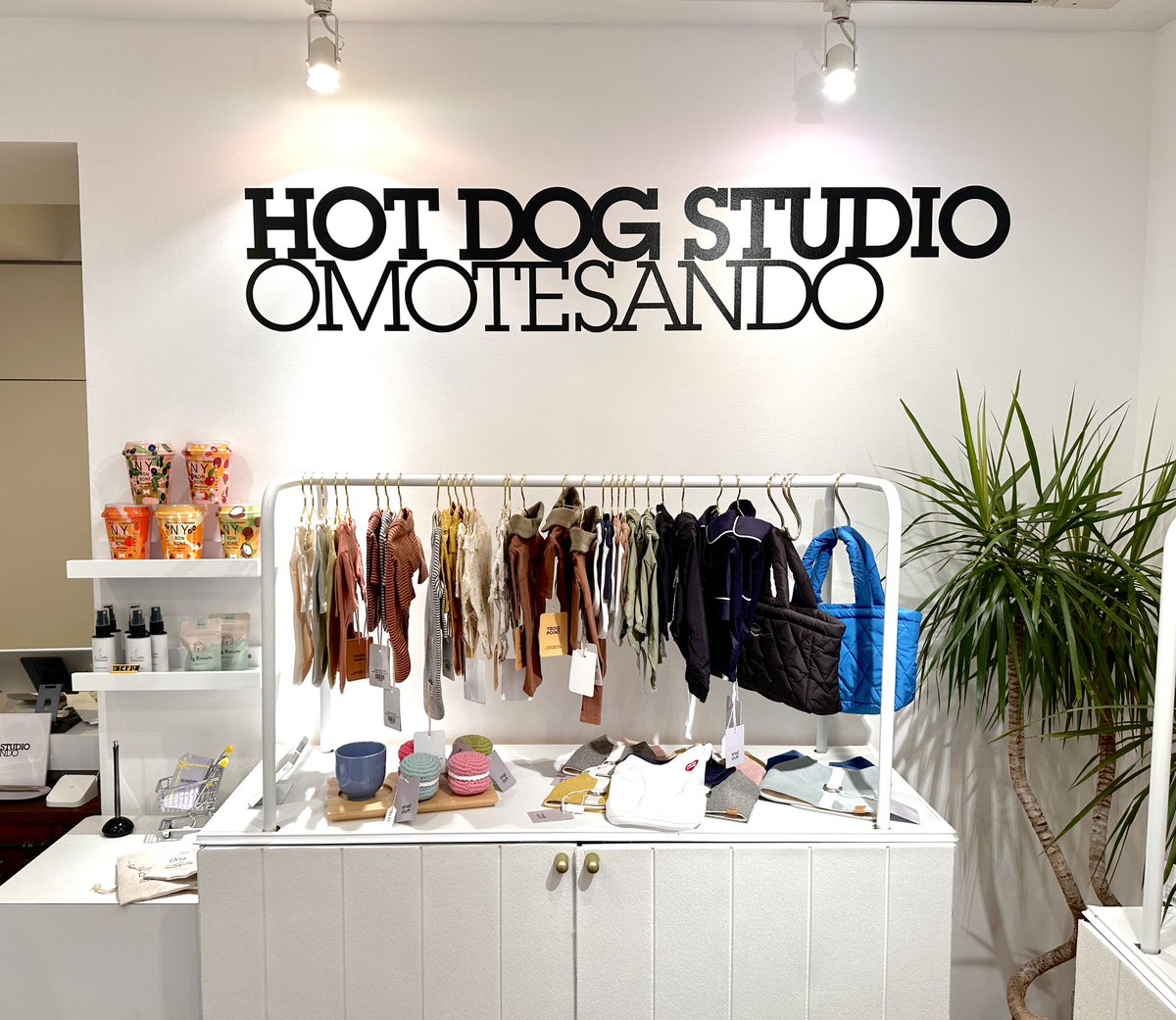 ksk_ito's tweet photo. 【HOT DOG STUDIO 新店舗🎉】

ちょうど2期目を迎えたこのタイミングで表参道に新店を出店します。2店舗目の直営店です✨

「ここにしかない製品と体験」にこだわった、犬と家族のためのギフト専門店🎁

9/1(金)オープンです🐕 https://t.co/KJ5ssUdipF