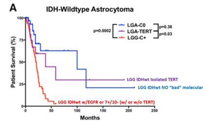 PDBrownOnc's tweet photo. IDH Wildtype Astrocytoma, does isolated TERT Promoter Mutation in histologic Grade 2 equate to GBM prognosis?

Probably NOT, isolated TERT have better prognosis https://t.co/npnN3xcQn1 https://t.co/WabJg74chP