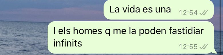 Laia⭐️ tweet media