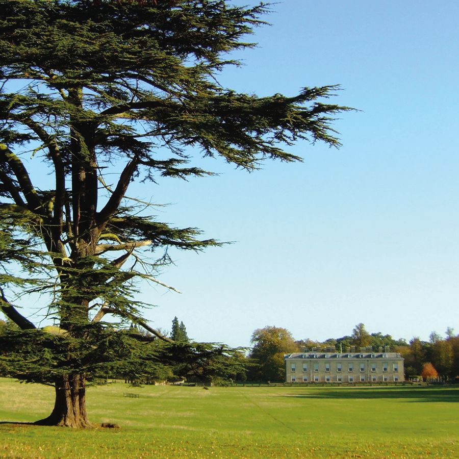 Althorp tweet media