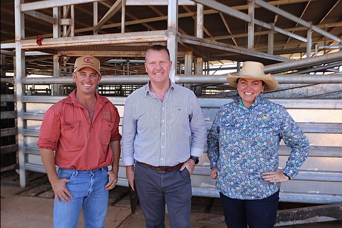 NT Livestock Exporters tweet media