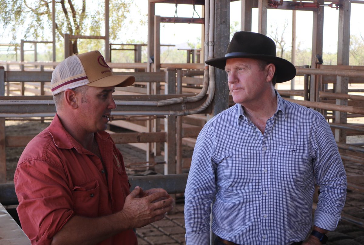 NT Ag Minister Paul Kirby visited key parts of our export supply chain today, including Don and Kelly White at Bridge Creek. With significant trade uncertainty for so many northern livestock business operators, we are very grateful for the Minister’s ongoing advocacy and support.