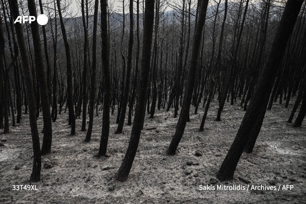 🇬🇷 L'ampleur des dégâts provoqués par les incendies dans 2 poumons verts de la Grèce n'est pas encore connue que déjà des inquiétudes s'élèvent sur la capacité de ces forêts à surmonter cet énième sinistre #AFP 

➡️ u.afp.com/iyiP
✍️@bkyriak & @ Anne-Sophie Labadie