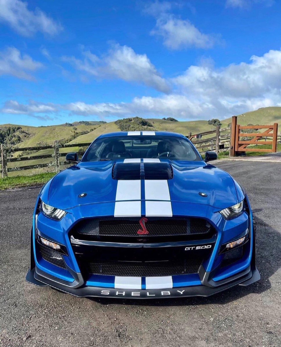 Cobra3dD's tweet photo. “ Mustang Monday Masterpiece “  💙🤍💙 https://t.co/A97EYJ1OYa