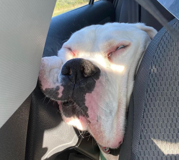 Your Morning Saskatchewan tweet media