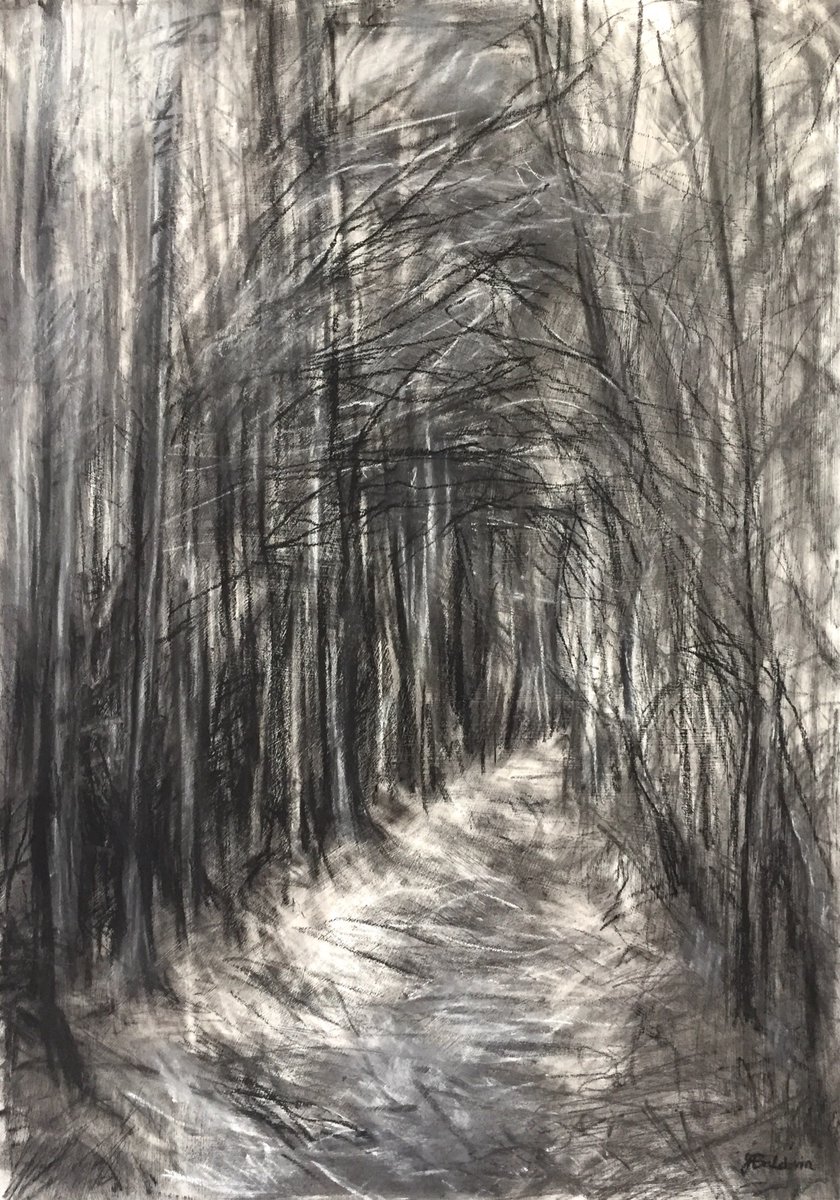 #drawingaugust ‘Forest Dreams II’, #charcoal, #graphite and #pastel, 67 x 48cm. Will be part of my #soloexhibition at @Art_Watermark in #Harrogate, 15th-30th September #forest #darkdrawings #forestdreams #charcoaldrawing #graphitedrawing #charcoalart #draw #lovedrawing #art