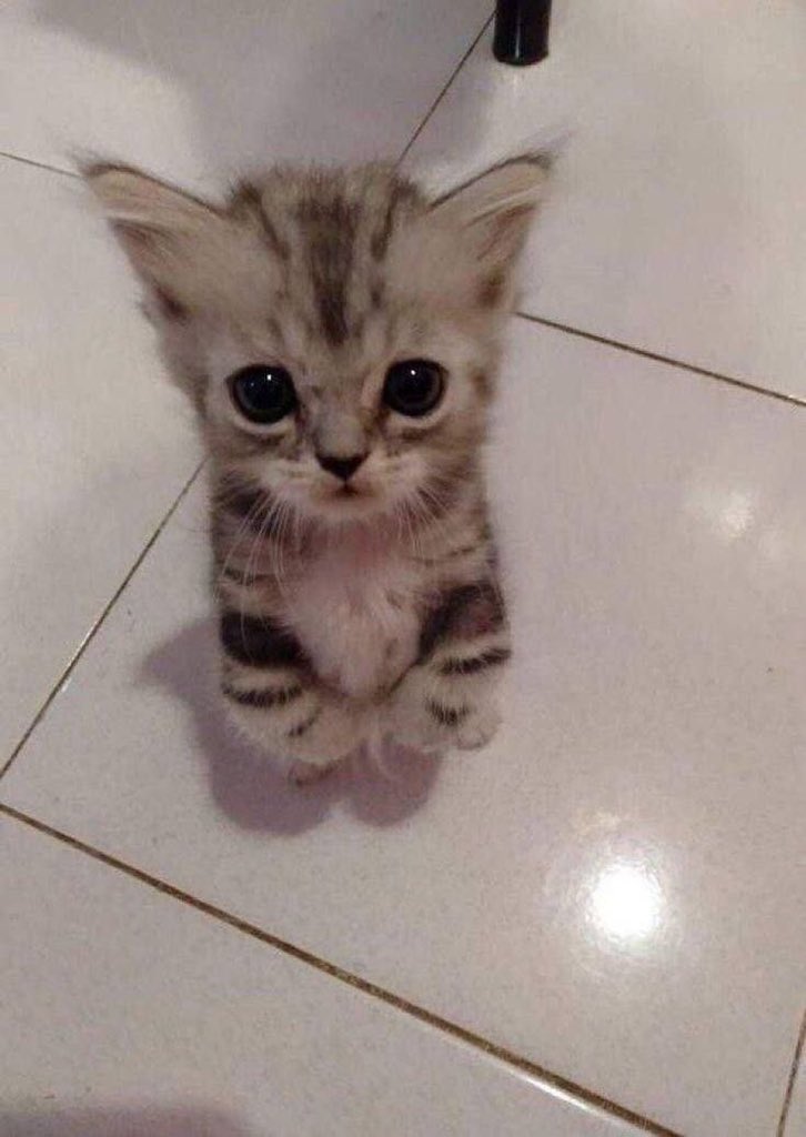🤏🏻