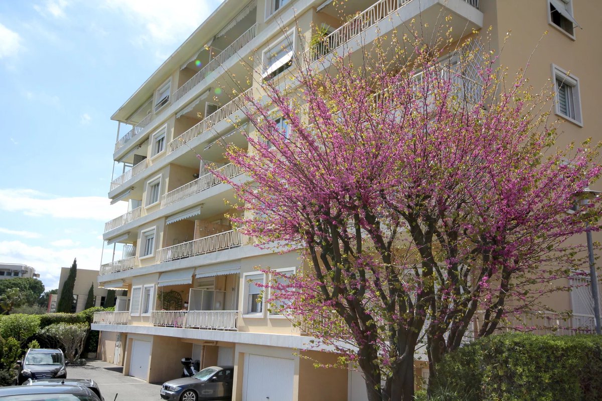 EasyImmoNice's tweet photo. NICE - CIMIEZ : Dans une résidence au cœur de Cimiez, 3P traversant en dernier étage avec terrasse et vue dégagée. Un garage fermé.
Vendu loué (1 289,54 €/mois).

Prix : 430 000 €
Plus d’informations au 04 93 80 40 80.

#easyimmobilier #nice #cimiez #vente #immobilier https://t.co/5HIglJVD5T