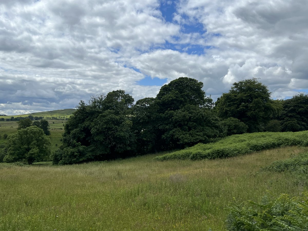 rural_landagent's tweet photo. Land at Wester Barnego, Falkirk, FK6 6BQ
⠀⠀
A secluded and most private land parcel, with a farmstead ruin. The property extends to approximately 42.83 hectares (105.83 acres) in total.
⠀
Offers Over £250,000 https://t.co/wTzCpP4lix
