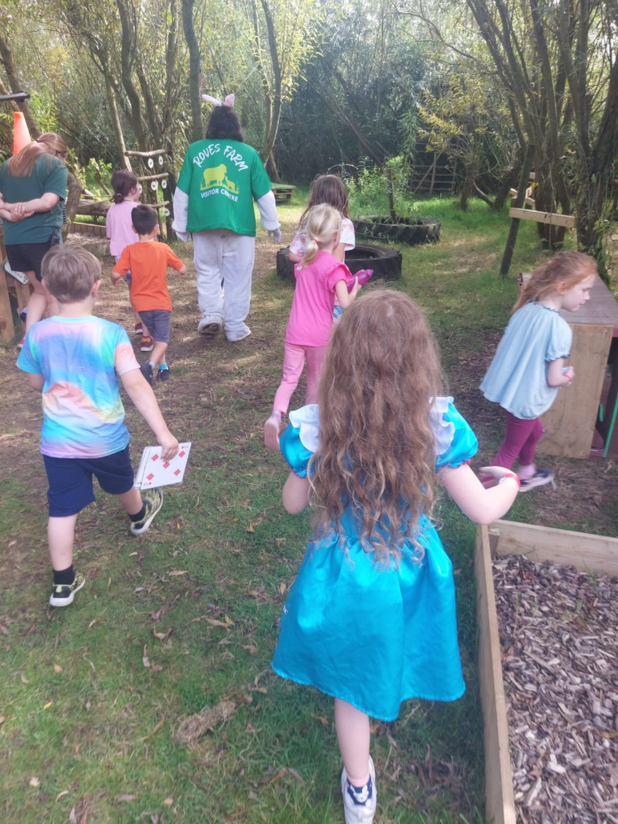 Roves Farm tweet media