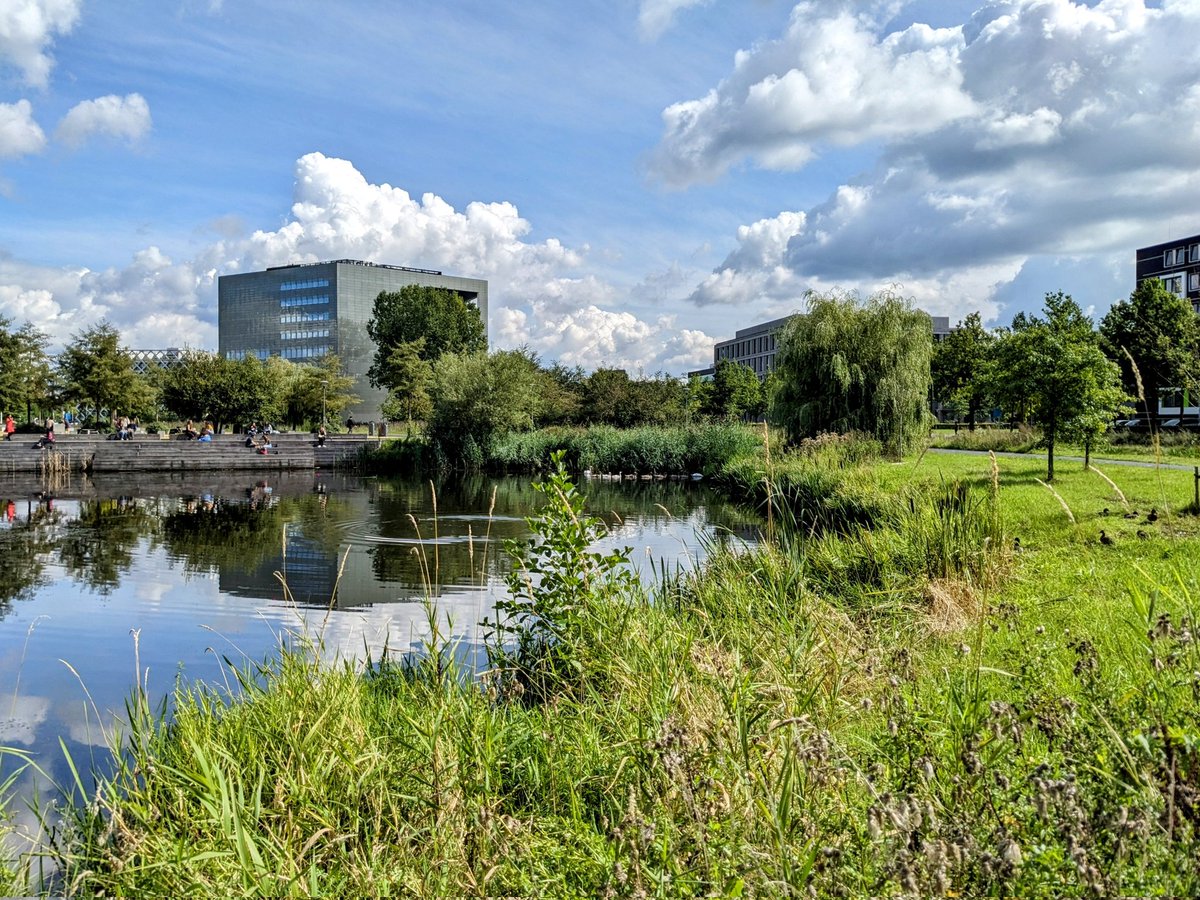 Very excited to be at @WUR today to help with setting up the new global water quality sector in @ISIMIPImpacts with Maryna Strokal @rkumar_1982 @Michelle_vVliet & many more, through the EU COST Action @climateimpacts_