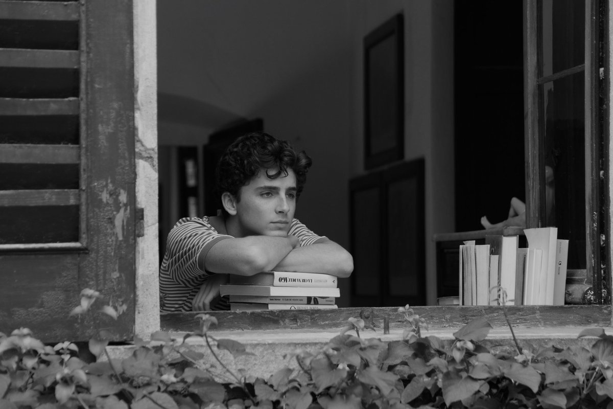 call me by your name tweet media