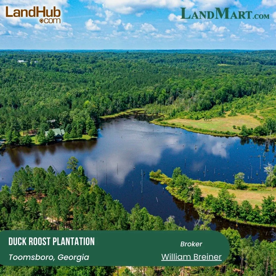 landhub's tweet photo. "Middle GA Hunting Plantation: Legacy Property with Lodge, Timber, and Lakeside Appeal"
#HuntingPlantation #LegacyProperty #TimberInvestment
MORE INFO 👉 https://t.co/hSLpTDC7U0 https://t.co/LRd9f72kIn