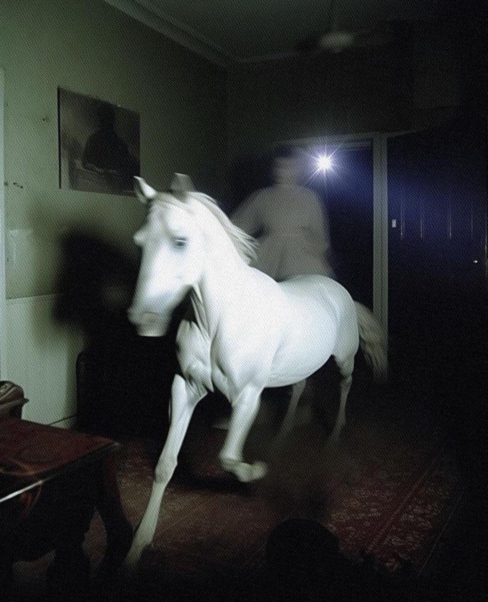 Album Aura 💿 tweet media