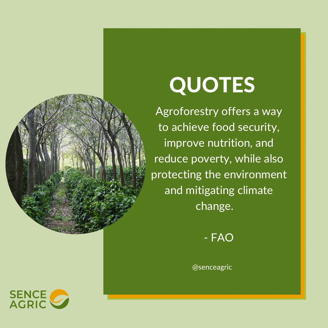 SENCE Agric tweet media