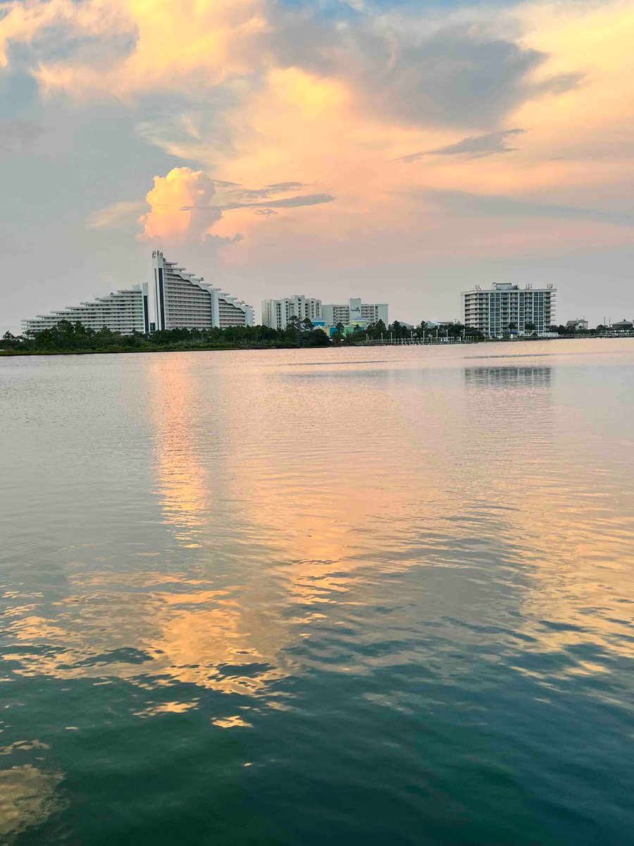 Tony Kennon tweet media