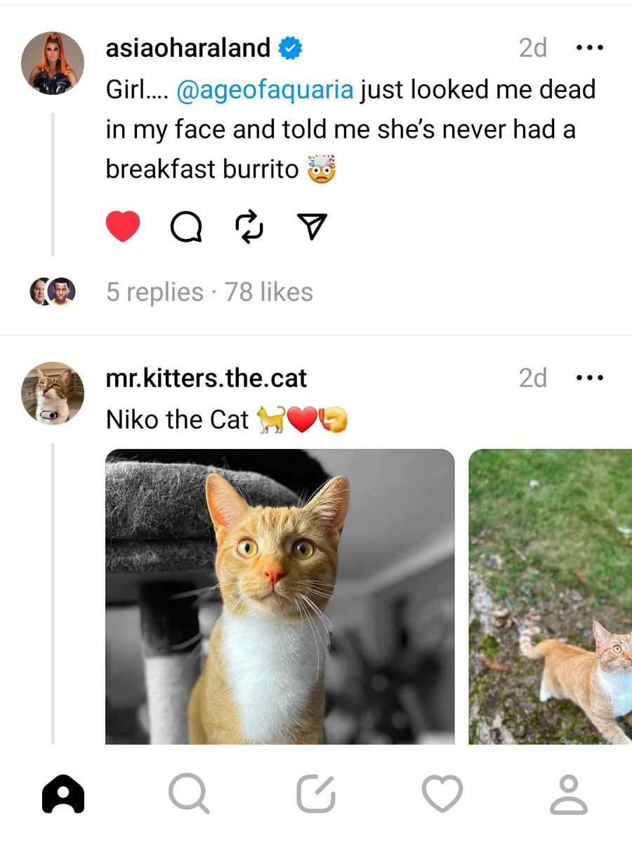 Threads is finally starting to pick up 😃 .....
 and the way it looks like niko the cat is reacting to aquaria saying she's never had a breakfast burrito 🤣