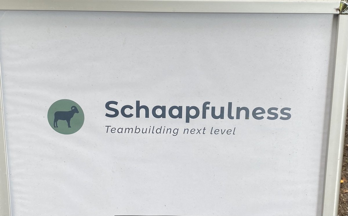 When you’re out of your mind 🐑