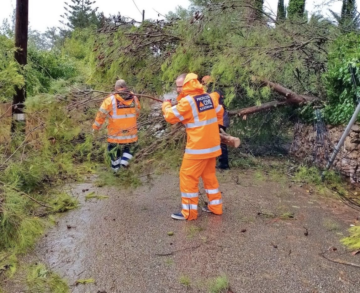 Aj_Algaida's tweet photo. 👉Des de l'Ajuntament d'Algaida volem agrair l'esforç que han realitzat, Policia Local, @PcAlgaida i Guàrdia Civil🚨

👉Ahir va ser un dia molt llarg per a ells. A causa de les tempestes va haver-hi arbres caiguts, inundacions i talls d’electricitat a algunes zones de fora vila⛈️ https://t.co/K5cbbcawnl