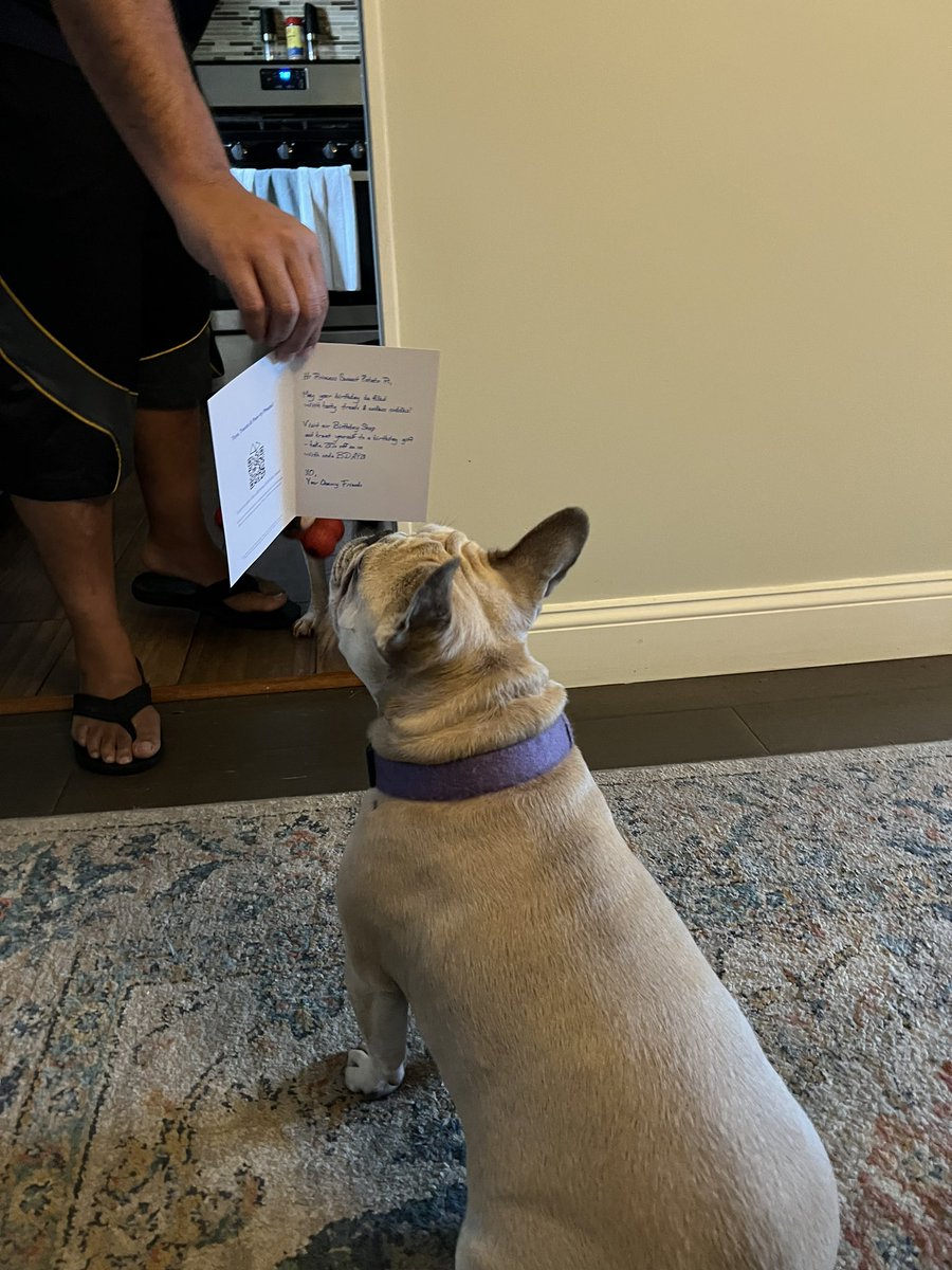 KaT_Chivette's tweet photo. Thank you @Chewy for Princess Sweet Potato Pi’s birthday card. She was so excited to read the note from her Chewy friends! Happy 3rd birthday Princess! 🐾 https://t.co/n6lSPfNMOq
