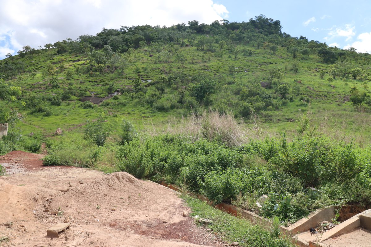 'L'équipe de l'@ONUCotedIvoire renforce sa présence à Korhogo, étendant son bureau conjoint pour accueillir➕ d'agences du #SNU. Objectif, appuyer les efforts de service envers la population.
Le projet #ProAgroYOUTH de @OITAbidjan est déjà actif au pied du mont Korhogo.