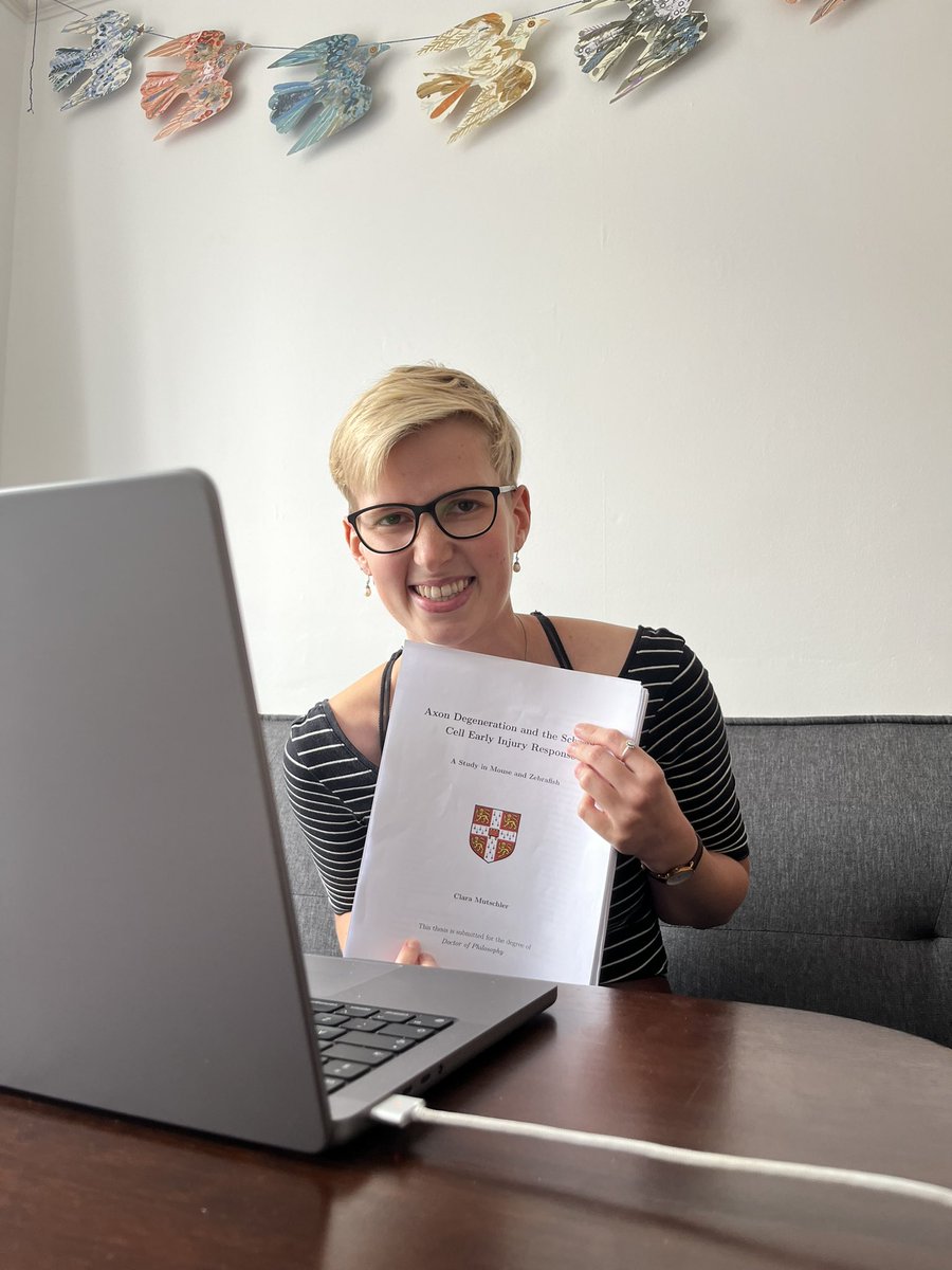 Clara Mutschler tweet media
