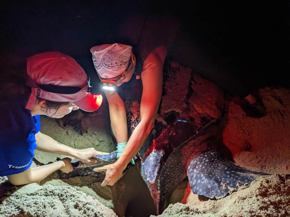 Canadian Herpetological Society tweet media