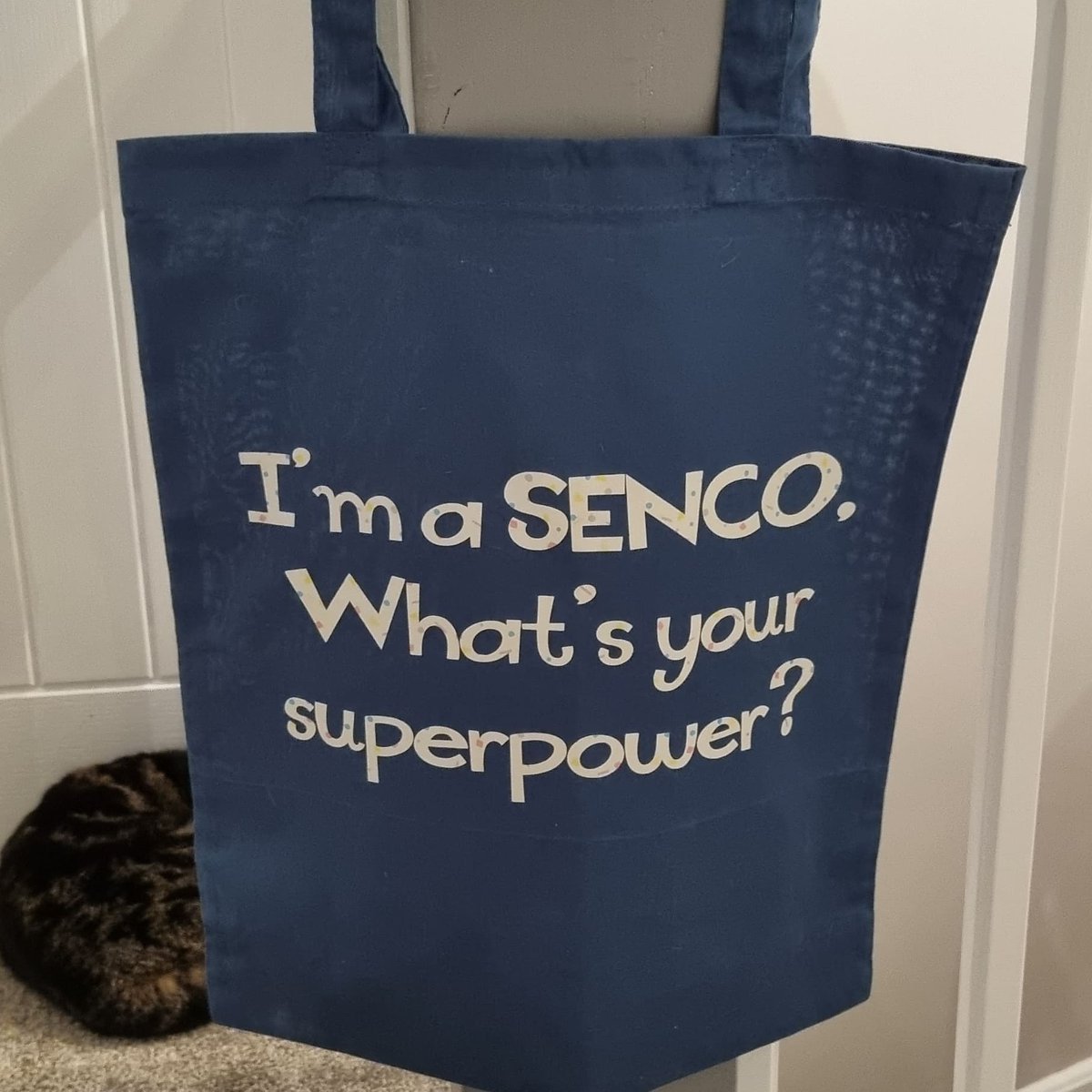 primary_senco_'s tweet photo. This summer, I have created a website providing resources for teachers and parents.  https://t.co/WSJcQ7AZ2E https://t.co/hSIBYPdBv4