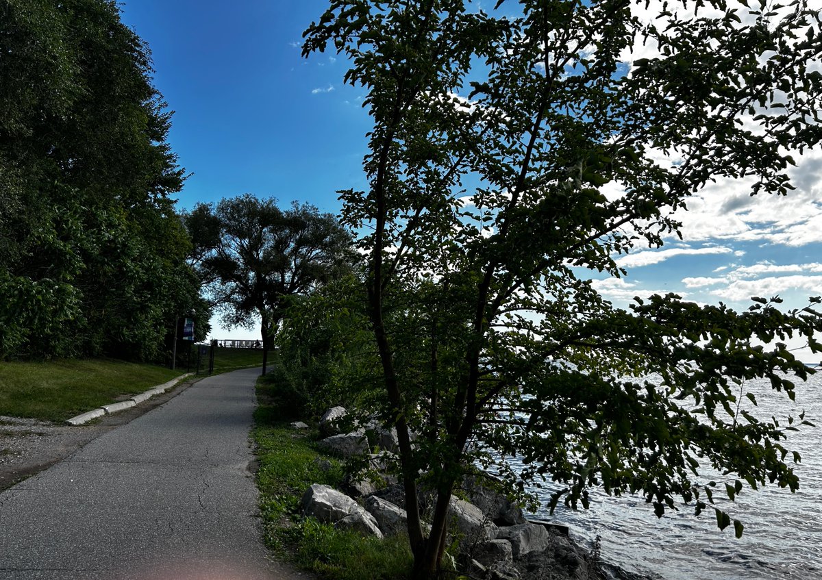 Anne Laurel Carter tweet media