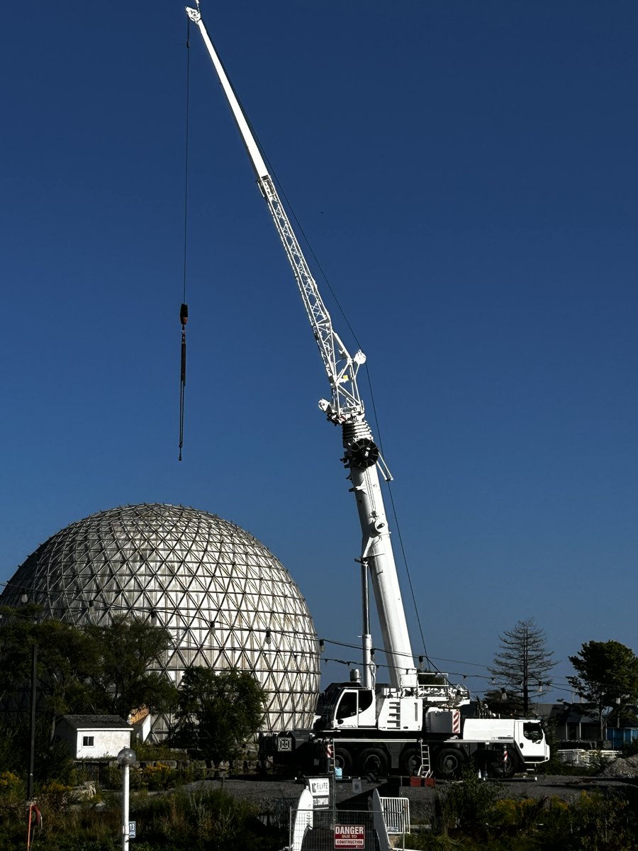 Anne Laurel Carter tweet media