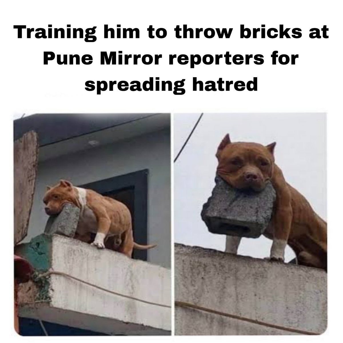 indies_of's tweet photo. @ThePuneMirror https://t.co/TuguQJcBQN