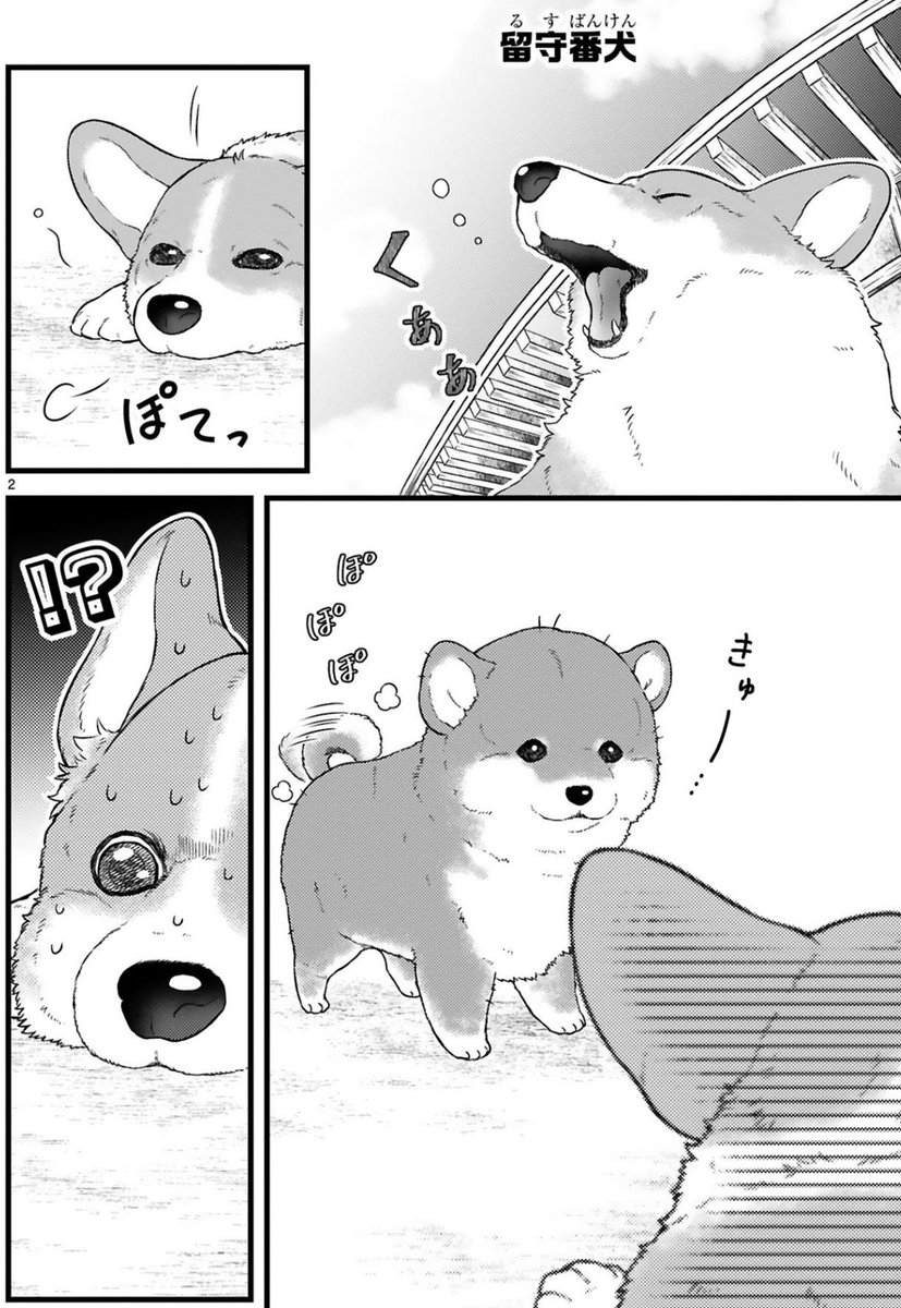 留守番コーギーと迷子犬(1/2)

#漫画が読めるハッシュタグ 