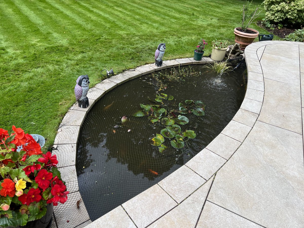 Pond plant’s overgrown, now fish can swim again.